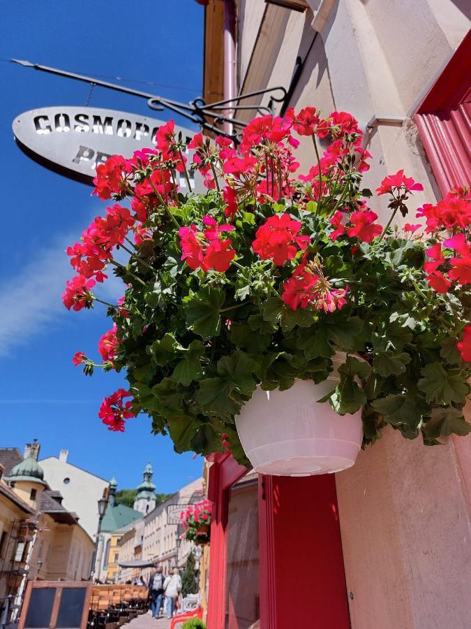 Penzion Cosmopolitan Ii. Banská Štiavnica 외부 사진