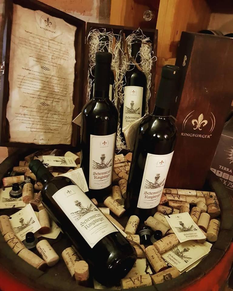 Penzion Cosmopolitan Ii. Banská Štiavnica 외부 사진